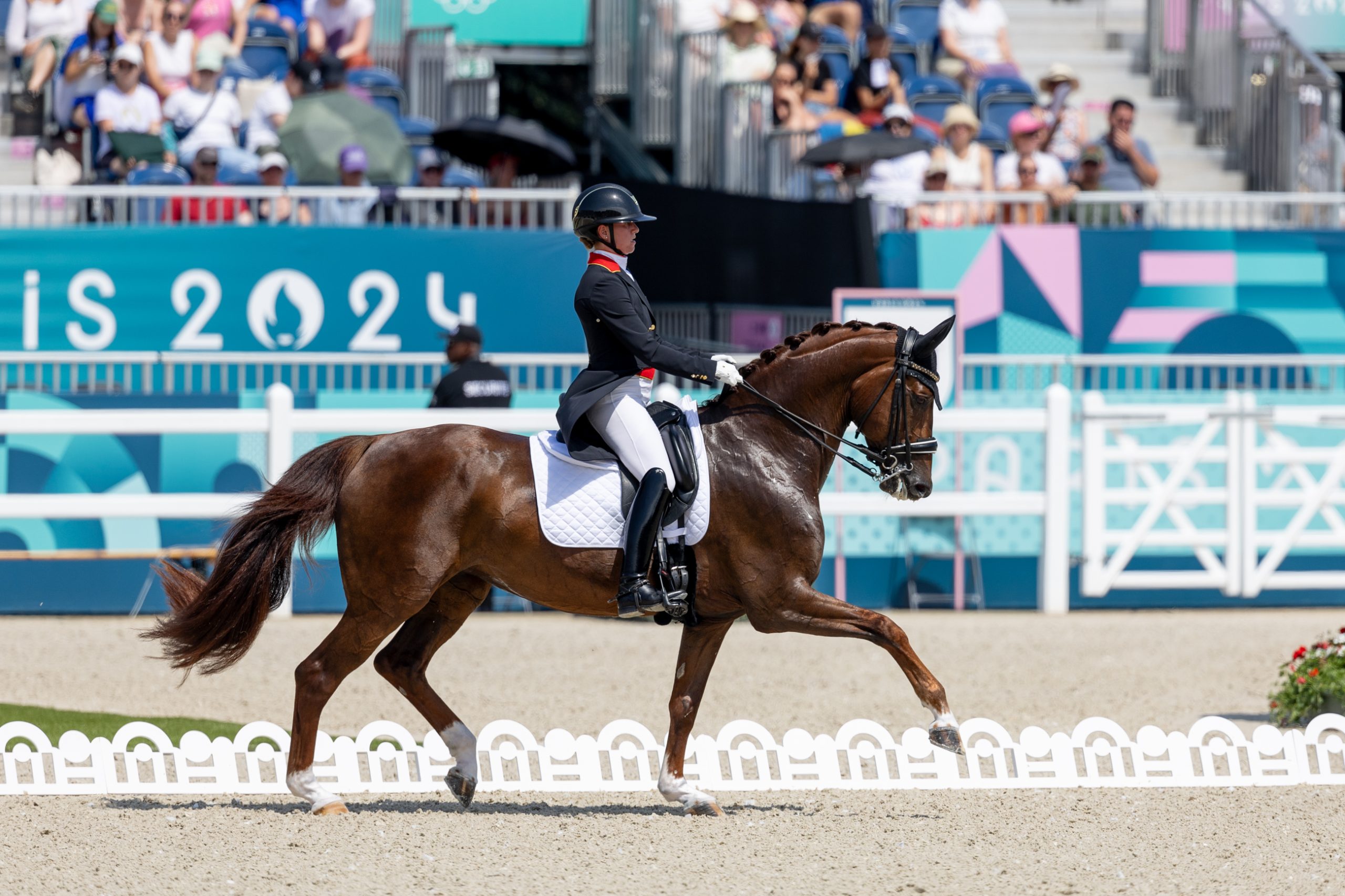 Inga Hamilton Canadian Dressage Team Fundraiser in Wellington to Support 2026 World ...