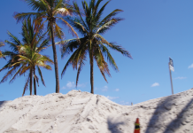 EDITO: CANADIANS ARE ALWAYS WELCOME IN FLORIDA